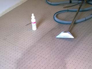 Carpet Cleaners in Dorset